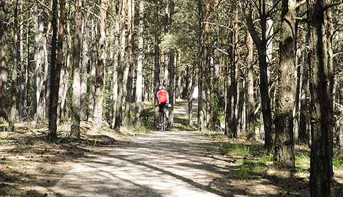 Swornegacie - szlak rowerowy lasem
